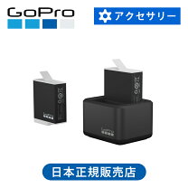 楽天市場】gopro hero11 バッテリーチャージャーの通販