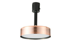 �X�����d�� �A�i�U�[�K�[�f�� ���}�[�j LED �X�|�b�g���C�g RUMANI SPOT LIGHT ADU155 ADU-155 �S�[���h �u�����Y �������� �R�R�j�A�� �ԐڏƖ� �X�|�b�g �Ɩ� �d�C �p�x���� �_�N�g���[����p ���C�e