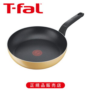 yT-falzeBt@[ }[S[hCG[ tCp 27cm B56106 CG[ тɂ  邢 m点  KX R[eBO Ki 3168430306875