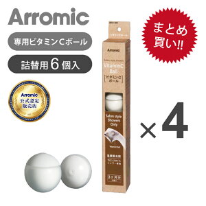 �y4�ȏ�̒�����p�z����1�N�����A���~�b�N �T�����X�^�C���V�����[��p�r�^�~��C�{�[�� �l�ߑւ��p �V�����[�w�b�h�p �����i �������� �\�� �X�g�b�N ���f�����{�[�� �J�[�g���b�W �c��