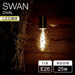 SWAN LEDd tBgd 25W Xd E26 Ή 2000K Ki LED SWAN BULB VF OVAL | SWB-F065L NA SWBF065L |  d LED v CeA Vbv JtF X Ɩ Be[