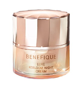 @xltB[N@NX@u[iCgN[y򕔊Oiz 40g