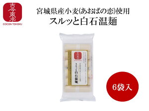 宮城県産小麦(あおばの恋)使用スルッと白石温麺300g(50g×6束)温麺/うーめん/白石/宮城/東北/麺/めん/干し麺/小麦/あおばの恋/夏/冬/麺/うどん/そば/ギフト/お歳暮/きちみ製麺/お昼のテレビ番組で紹介/父の日