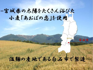 【古今東北】スルッと白石温麺6袋宮城県産小麦(あおばの恋)使用【送料無料】温麺/うーめん/白石/宮城/東北/麺/めん/干し麺/小麦/あおばの恋/夏/冬/麺/うどん/そば/ギフト/お歳暮/きちみ製麺/お昼のテレビ番組で紹介/父の日/国産/東北応援