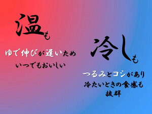 【古今東北】スルッと白石温麺6袋宮城県産小麦(あおばの恋)使用【送料無料】温麺/うーめん/白石/宮城/東北/麺/めん/干し麺/小麦/あおばの恋/夏/冬/麺/うどん/そば/ギフト/お歳暮/きちみ製麺/お昼のテレビ番組で紹介/父の日/国産/東北応援