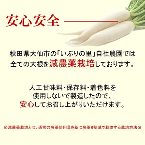いぶしてるがっこ