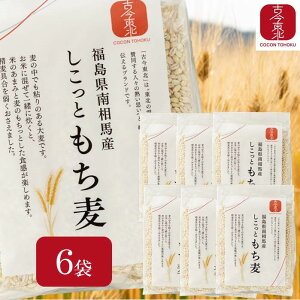 ubNtCf[@11/20@20%ItN[|yÍkzƂ 50gx10{×1܁^50gx10{×6܁yz@쑊ns@Y^Y^/ނ/唞/H