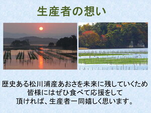 【古今東北】福島県相馬産ふわっと磯の香松川浦のあおさ(18g×2袋)【メール便対応】あおさ/のり/アオサノリ/ヒトエグサ/味噌汁/和食/海/海藻/松川浦/相馬/福島/東北/国産/東北応援