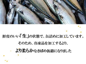 《送料無料》【古今東北】八戸港水揚げ生鯖使用やっこいさば水煮缶(190g)×９