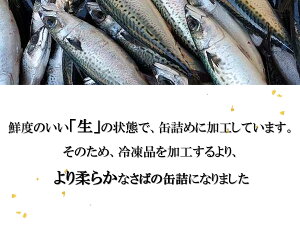 《送料無料》【古今東北】八戸港水揚げ生鯖使用やっこいさば水煮缶(190g)×9