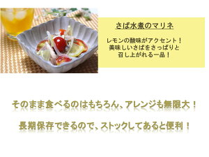 《送料無料》【古今東北】【セット商品】八戸港水揚げ生鯖使用やっこいさば水煮缶(190g)×9缶鯖/さば/サバ/水煮/八戸/サバ缶/さば缶/鯖缶/青森/缶詰/セット/柔らか/やわらか/生鯖/オメガ3/DHA/EPA