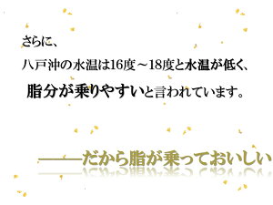 ≪送料無料≫【古今東北】【セット商品】<八戸港水揚げ生さば使用>やっこいさば味噌煮缶(190g)×9缶鯖缶/サバ缶/さば缶/味噌煮/やわらかい/鯖/さば/サバ/八戸/青森/東北/生鯖/仙台味噌/古今東北