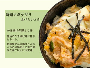 【送料無料】陸前高田産小あみと野菜のサクッとかき揚げ3袋(50g×12個)(イサダと野菜のかき揚げ)冷凍国産/かき揚げ/小あみ/陸前高田/野菜/うどん/そば/トッピング/小松菜/南三陸/セット/かき揚げ丼/丼ぶり