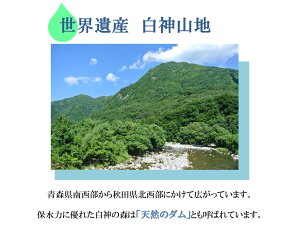 ≪送料無料≫【古今東北】白神山地のふんわり湧水(500ml)×24本白神山地/軟水/水/超軟水/白神/世界遺産/飲料/割水/和食/コーヒー/お茶/ナチュラルウォーター/鯵ヶ沢