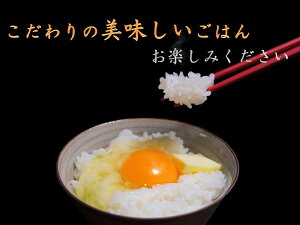 ≪送料無料≫【古今東北】<福島県南相馬産「天のつぶ」使用>ふっくらパックご飯150g×6食入4袋セット白米/米パック/ご飯/福島産/福島/南相馬/アイリスフーズ