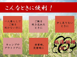 ≪送料無料≫【古今東北】<福島県南相馬産「天のつぶ」使用>ふっくらパックご飯150g×6食入4袋セット白米/米パック/ご飯/福島産/福島/南相馬/アイリスフーズ
