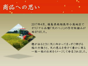 ≪送料無料≫【古今東北】<福島県南相馬産「天のつぶ」使用>ふっくらパックご飯150g×6食入4袋セット白米/米パック/ご飯/福島産/福島/南相馬/アイリスフーズ