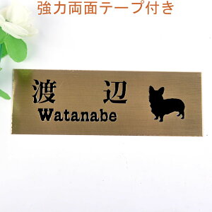 \D̃AgG 145x50 (uY) Gb`OH 񂱂ƈꏏiIׂ錢j yHLS_DUzyRCPzyyMt_zyyMt_z attr30attr ctgr1ctgr sml2sml+ctgr1ctgr DOG