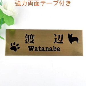 \D̃AgG 145x50 (uY) Gb`OH 񂱂ƈꏏiIׂ錢j t yHLS_DUzyRCPzyyMt_zyyMt_z attr30attr ctgr1ctgr sml2sml+ctgr1ctgr DOG