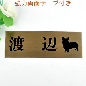 \D̃AgG 145x50 (uY) Gb`OH 񂱂ƈꏏiIׂ錢j2 yHLS_DUzyRCPzyyMt_zyyMt_z attr30attr ctgr1ctgr sml2sml+ctgr1ctgr DOG