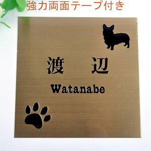 \D̃AgG 150x150 (uY) Gb`OH 񂱂ƈꏏiIׂ錢j t yHLS_DUzyRCPzyyMt_zyyMt_z attr32attr ctgr1ctgr sml2sml+ctgr1ctgr DOG