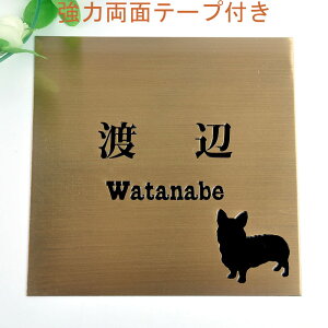 \D̃AgG 150x150 (uY) Gb`OH 񂱂ƈꏏiIׂ錢j yHLS_DUzyRCPzyyMt_zyyMt_z attr32attr ctgr1ctgr sml2sml+ctgr1ctgr DOG