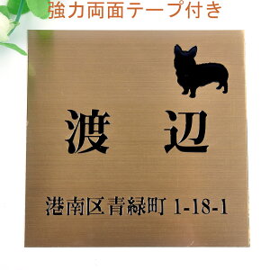 \D̃AgG 150x150 (uY) Gb`OH 񂱂ƈꏏ@Zt yHLS_DUzyRCPzyyMt_zyyMt_z attr32attr ctgr1ctgr sml2sml+ctgr1ctgr DOG