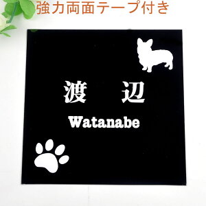 \D̃AgG 150x150 ubNXeX Gb`OH 񂱂ƈꏏiIׂ錢j t yHLS_DUzyRCPzyyMt_zyyMt_z attr35attr ctgr1ctgr sml3sml+ctgr1ctgr DOG