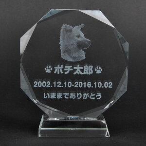 Pet&Love. ybĝ KX ql̃ybgʐ^ I[_[Ch bZ[WύX\ ^Cv1@STCY@12cm yHLS_DUzyRCPzyyMt_zyyMt_z attr56attr ctgr2ctgr sml
