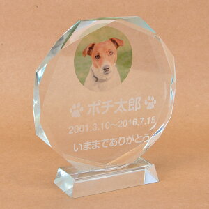 Pet&Love. ybĝ KX ql̃ybgʐ^ I[_[Ch bZ[WύX\ ^Cv1@MTCY@14cm@J[|Cg yHLS_DUzyRCPzyyMt_zyyMt_