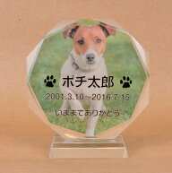 Pet&Love. ペットのお墓 ガラス製 お客様のペット写真刻印 オーダーメイド メッセージ変更可能 タイプ1　…