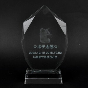 Pet&Love. ybĝ KX ql̃ybgʐ^ I[_[Ch bZ[WύX\ ^Cv3@ꕔ@22cm yHLS_DUzyRCPzyyMt_zyyMt_z attr56attr ctgr2ctgr s