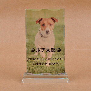 Pet&Love. ybĝ KX ql̃ybgʐ^ I[_[Ch bZ[WύX\ ^Cv2@SSTCY@15cm@S̃J[fUC yHLS_DUzyRCPzyyMt_zyyMt_