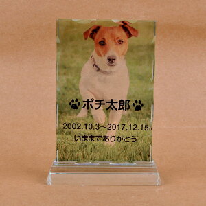 Pet&Love. ybĝ KX ql̃ybgʐ^ I[_[Ch bZ[WύX\ ^Cv2@STCY@17.5cm S̃J[fUC yHLS_DUzyRCPzyyMt_zyyMt_
