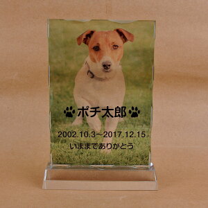 Pet&Love. ybĝ KX ql̃ybgʐ^ I[_[Ch bZ[WύX\ ^Cv2@LLTCY@26cm S̃J[fUC yHLS_DUzyRCPzyyMt_zyyMt_