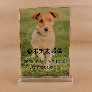 Pet&Love. ybĝ KX ql̃ybgʐ^ I[_[Ch bZ[WύX\ ^Cv2@LLLTCY@31cm S̃J[fUC yHLS_DUzyRCPzyyMt_zyyMt_