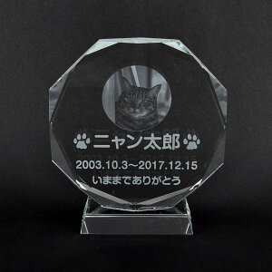 Pet&Love. ybĝ KX ql̃ybgʐ^ I[_[Ch bZ[WύX\ ^Cv1@LTCY@17cm lRf yHLS_DUzyRCPzyyMt_zyyMt_z attr56at