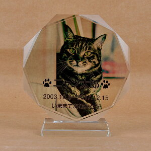 Pet&Love. ybĝ KX ql̃ybgʐ^ I[_[Ch bZ[WύX\ ^Cv1@LLLTCY@22cm@S̃J[fUC lRf yHLS_DUzyRCPzyyMt_z