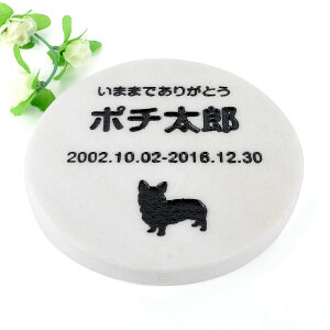 Pet&Love. ybĝ VRΐ Vv^ 嗝΁@zCg@~^ 180x180mm(20mm) yHLS_DUzyRCPzyyMt_zyyMt_z attr130attr ctgr2ctgr sml3sml+ctgr2ctgr DOG