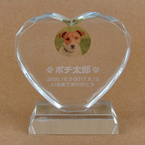 Pet&Love. ybĝ KX ql̃ybgʐ^ I[_[Ch bZ[WύX\ n[g^@J[|Cg@12cm yHLS_DUzyRCPzyyMt_zyyMt_z attr5