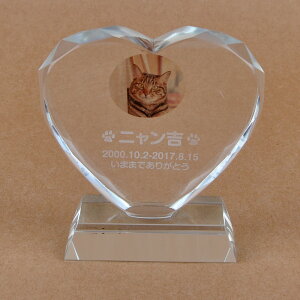 Pet&Love. ybĝ KX ql̃ybgʐ^ I[_[Ch bZ[WύX\ n[g^@J[|Cg@12cm lRf yHLS_DUzyRCPzyyMt_zyyMt_