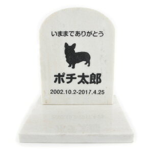 Pet&Love. ybĝ VRΐ Zbg^ e΁@zCg X^_[h yHLS_DUzyRCPzyyMt_zyyMt_z attr131attr ctgr2ctgr sml3sml+ctgr2ctgr DOG
