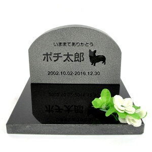 Pet&Love. ybĝ VRΐ Zbg^ e΁@ubN A[`@ yHLS_DUzyRCPzyyMt_zyyMt_z attr131attr ctgr2ctgr sml3sml+ctgr2ctgr DOG