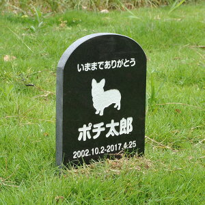 Pet&Love. ybĝ VRΐ ߂^Cv e΁@ubN 180x300x20mm yHLS_DUzyRCPzyyMt_zyyMt_z attr132attr ctgr2ctgr sml3sml+ctgr2ctgr DOG