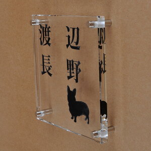 \D̃AgG KX\D  150x150mm 񂱂ƈꏏiIׂ錢j@2їp yHLS_DUzyRCPzyyMt_zyyMt_z attr73attr ctgr1ctgr sml8sml+ctgr1ctgr DOG