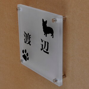 \D̃AgG KX\D KX 150x150mm 񂱂ƈꏏiIׂ錢j t2 yHLS_DUzyRCPzyyMt_zyyMt_z attr76attr ctgr1ctgr sml8sml+ctgr1ctgr DOG