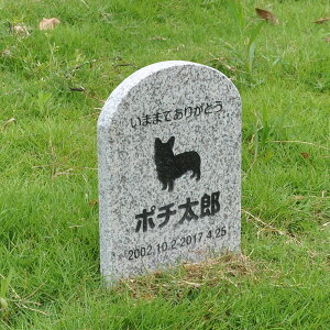 Pet&Love. ybĝ VRΐ ߂^Cv e΁@O[ 180x300x20mm yHLS_DUzyRCPzyyMt_zyyMt_z attr132attr ctgr2ctgr sml3sml+ctgr2ctgr DOG