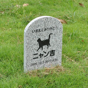 Pet&Love. ybĝ VRΐ ߂^Cv e΁@O[ 180x300x20mm yHLS_DUzyRCPzyyMt_zyyMt_z attr132attr ctgr2ctgr sml3sml+ctgr2ctgr CAT
