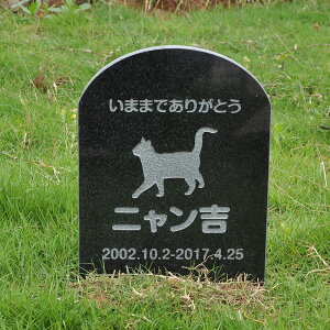 Pet&Love. ybĝ VRΐ ߂^Cv e΁@ubN v[ 180x300x20mm yHLS_DUzyRCPzyyMt_zyyMt_z attr132attr ctgr2ctgr sml3sml+ctgr2ctgr CAT