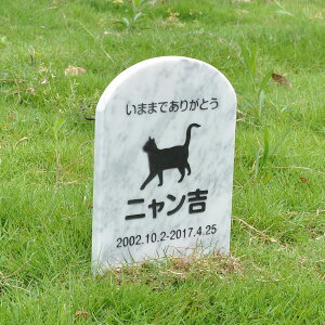 Pet&Love. ybĝ VRΐ ߂^Cv e΁@O[Xbg 180x300x20mm yHLS_DUzyRCPzyyMt_zyyMt_z attr132attr ctgr2ctgr sml3sml+ctgr2ctgr CAT